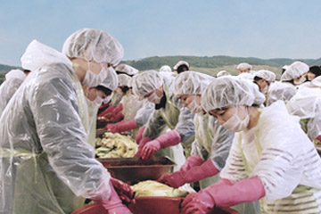 2017 사랑의 김치나눔 한마당 참가 활동 사진